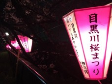 S__2932779